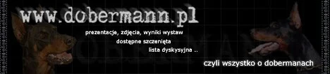 Dobermann PL