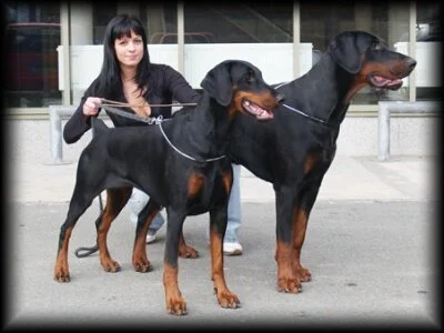Amee and Archie 18 months