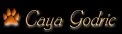 CAYA Godric