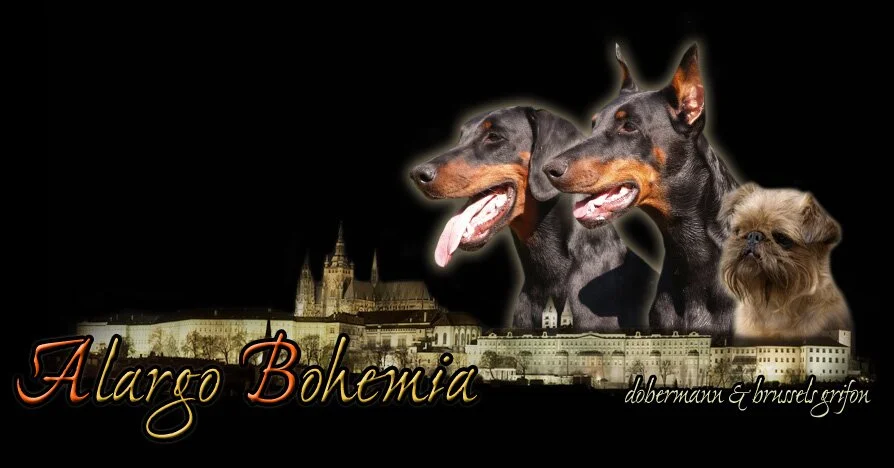 Welcome on our homepages