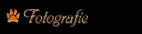 Fotografie
