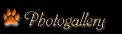 Photogalery