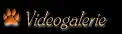 video galerie
