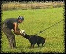 Sisi obrana